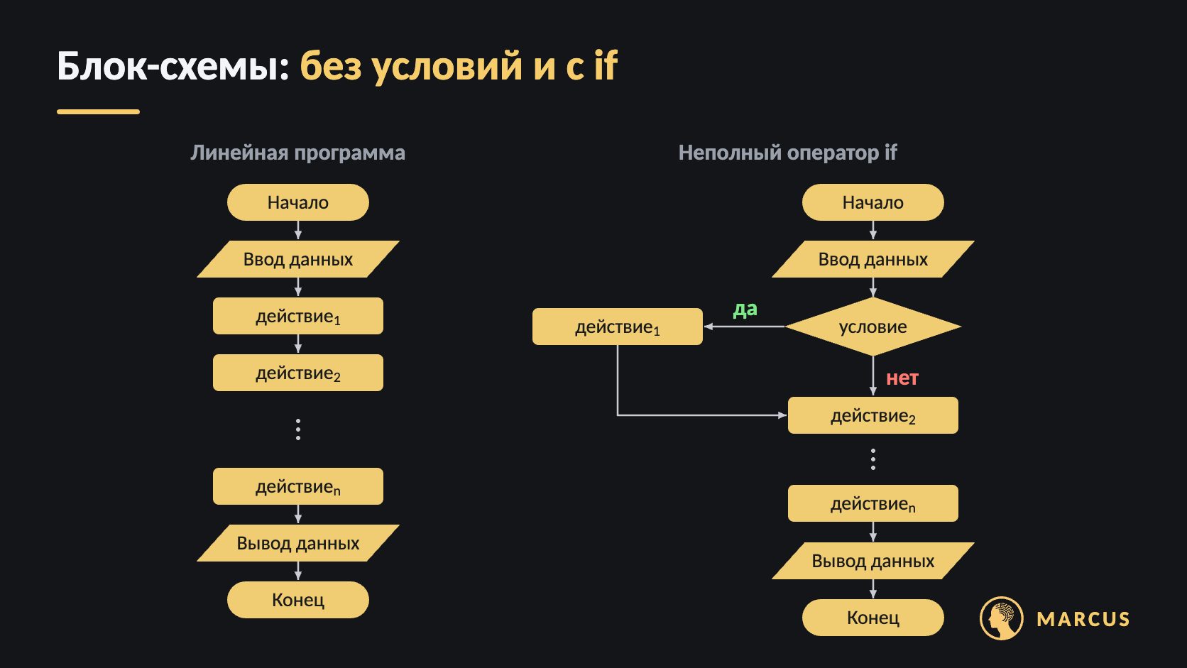 Две блок-схемы. Слева линейная программа: ввод данных, действия 1, 2, …, n, вывод данных. Справа программа с оператором if: если условие верно, выполняется действие 1, иначе программа сразу переходит к действию 2.