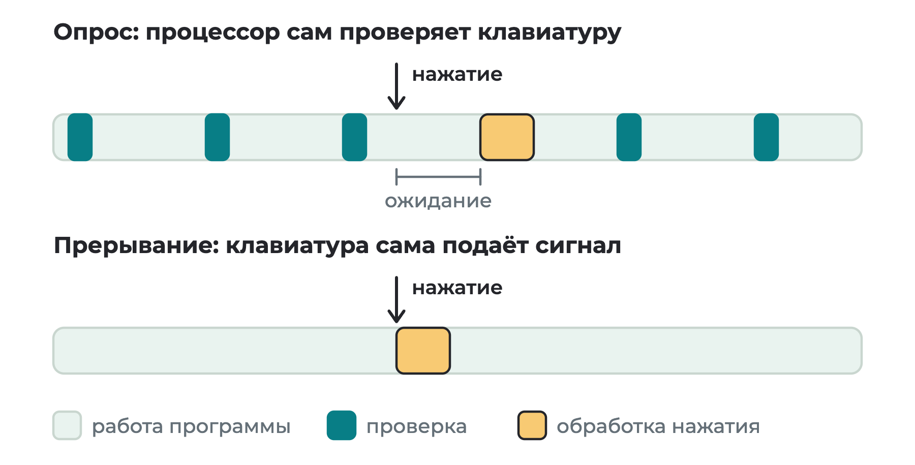 Две ленты времени: при опросе процессор регулярно тратит время на проверки и замечает нажатие с задержкой, при прерывании он обрабатывает нажатие сразу