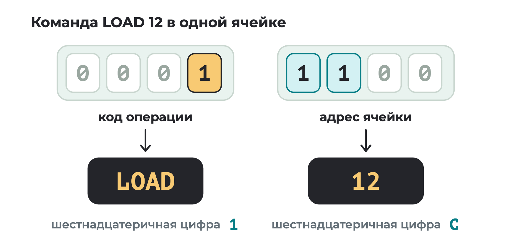 Байт 0001 1100 разделён на две четвёрки битов: левая, 0001, — код операции LOAD, правая, 1100, — адрес 12. Шестнадцатеричные цифры четвёрок — 1 и C