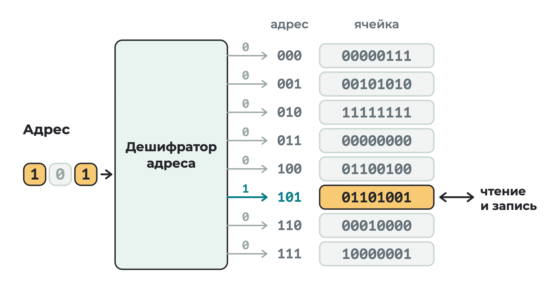 Адрес 101 подан на дешифратор; из восьми выходов единица только на одном, и он выбирает ячейку с адресом 101, в которой лежит 01101001; остальные семь ячеек не выбраны